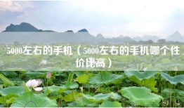 5000左右的手机（5000左右的手机哪个性价比高）