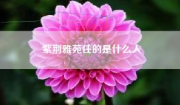紫荆雅苑住的是什么人