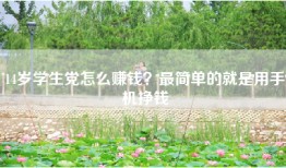 14岁学生党怎么赚钱？最简单的就是用手机挣钱