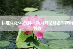 快速优化SEO软件：助力网站排名飞跃的利器