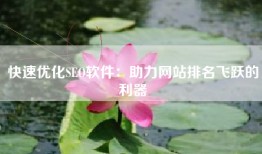 快速优化SEO软件：助力网站排名飞跃的利器