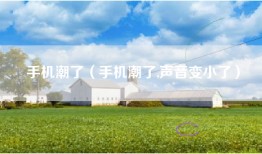 手机潮了（手机潮了,声音变小了）