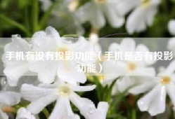 手机有没有投影功能（手机是否有投影功能）