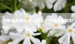 手机有没有投影功能（手机是否有投影功能）
