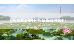 AI舆情监测的分析系统哪些好用