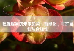 镜像服务的未来趋势：智能化、可扩展性与合规性