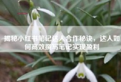 揭秘小红书笔记达人合作秘诀，达人如何高效撰写笔记实现盈利