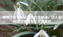 揭秘小红书笔记达人合作秘诀，达人如何高效撰写笔记实现盈利