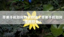 苹果手机如何双卡双待（苹果手机如何使用双卡）
