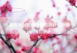湖南出台职业技能培训补贴新规