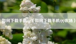 如何下载手机qq（如何下载手机QQ农场）