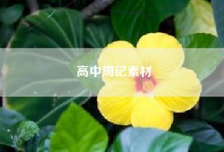高中周记素材