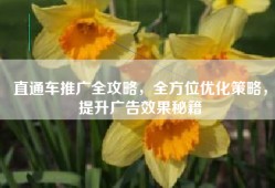 直通车推广全攻略，全方位优化策略，提升广告效果秘籍