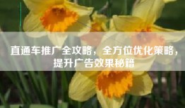 直通车推广全攻略，全方位优化策略，提升广告效果秘籍