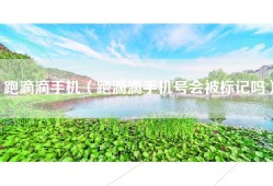 跑滴滴手机（跑滴滴手机号会被标记吗）