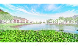 跑滴滴手机（跑滴滴手机号会被标记吗）