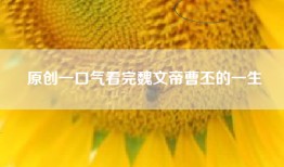 原创一口气看完魏文帝曹丕的一生