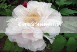 英语同义句转换的方法