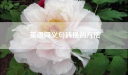 英语同义句转换的方法