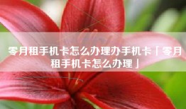 零月租手机卡怎么办理办手机卡「零月租手机卡怎么办理」