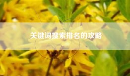 关键词搜索排名的攻略