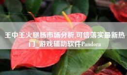 王中王火腿肠市场分析,可信落实最新热门_游戏辅助软件Pandora