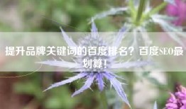 提升品牌关键词的百度排名？百度SEO最划算！