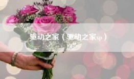 驱动之家（驱动之家xp）