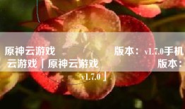 原神云游戏                    版本：v1.7.0手机云游戏「原神云游戏                    版本：v1.7.0」