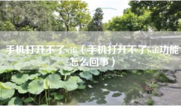 手机打开不了wifi（手机打开不了wifi功能怎么回事）