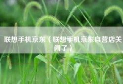 联想手机京东（联想手机京东自营店关闭了）