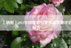 【研报】2021中国搜索引擎创新发展评估报告