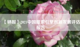 【研报】2021中国搜索引擎创新发展评估报告