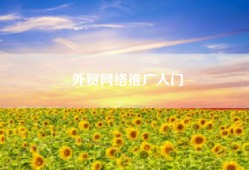 外贸网络推广入门