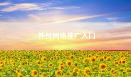 外贸网络推广入门