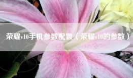 荣耀v10手机参数配置（荣耀v10的参数）