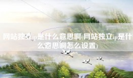网站独立ip是什么意思啊(网站独立ip是什么意思啊怎么设置)
