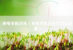 来电手机闪光（来电手机闪光灯怎么设置）