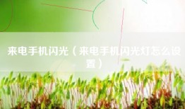 来电手机闪光（来电手机闪光灯怎么设置）