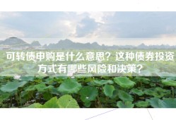 可转债申购是什么意思？这种债券投资方式有哪些风险和决策？