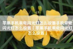 苹果手机来电闪光灯怎么设置手机来电闪光灯怎么设置「苹果手机来电闪光灯怎么设置」
