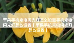 苹果手机来电闪光灯怎么设置手机来电闪光灯怎么设置「苹果手机来电闪光灯怎么设置」