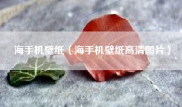 海手机壁纸（海手机壁纸高清图片）