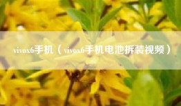 vivox6手机（vivox6手机电池拆装视频）