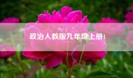 政治人教版九年级上册1