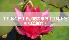 手机怎么扫手机上的二维码（手机上怎样扫二维码）