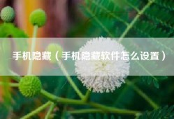 手机隐藏（手机隐藏软件怎么设置）
