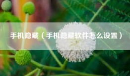 手机隐藏（手机隐藏软件怎么设置）