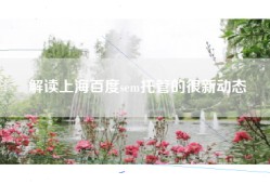 解读上海百度sem托管的很新动态