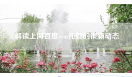 解读上海百度sem托管的很新动态